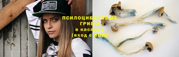 альфа пвп Краснотурьинск