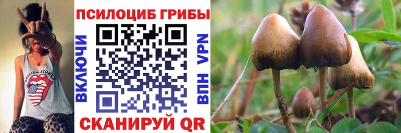 Галлюциногенные грибы прущие грибы  мега как войти  Медвежьегорск 